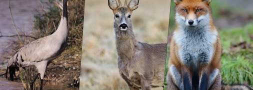 Ілюстративне фото