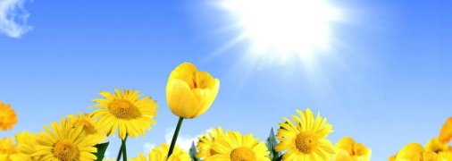 Жара продолжит атаковать украинцев, но части страны будет полегче: прогноз погоды на четверг