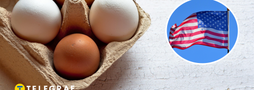 Ціни на курячі яйця в США