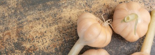 Удобрение чеснока в марте