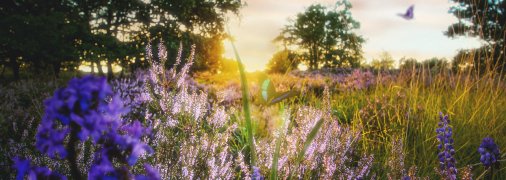 В Украине есть территории, на которых часто происходит что-то необычное