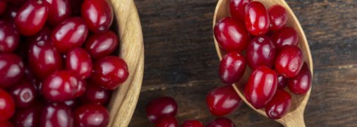 Закрутки из кизила: 5 интересных рецептов