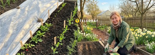 Наприкінці березня можна сіяти на городі перші овочі та зелень.