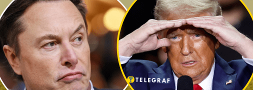 Отставка Маска – это стратегическое поражение Трампа