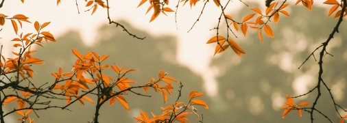 Синоптики дали прогноз на первую неделю октября