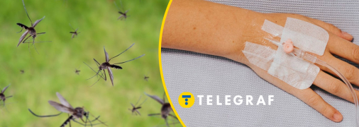 Цей кровопивця може вкласти на лікарняне ліжко