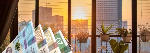 Что посадить дома, чтобы привлечь деньги