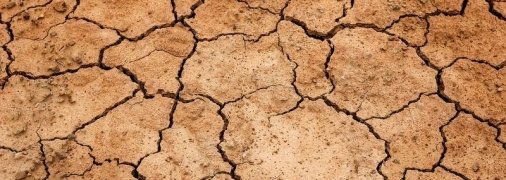 Засуха в Новой Зеландии провоцирует нехватку питьевой воды