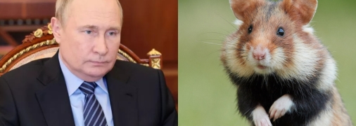 путін нагадав британському журналісту гризуна