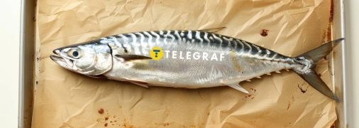 Скумбрия – не только вкусная, но и полезная рыба (изображение создано с помощью ИИ)