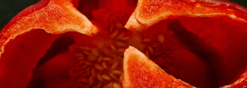 Завдяки цьому лайфхаку розсада з'явиться швидше і не буде хворіти