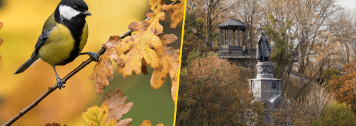 Заморозки и осадки, но не везде: каким регионам повезет с теплой погодой в эти выходные