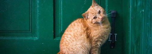 Що не можна робити на порозі будинку