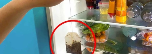 Важно не забывать заменять пакетик в холодильнике