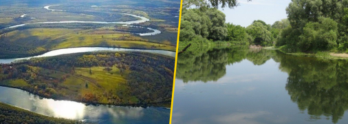 Погибшую рыбу собирают тоннами: на Черниговщине устраняют последствия загрязнения Десны (фото)