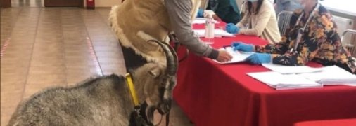 Участники голосования креативно подошли к делу