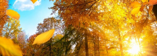 Фото Getty Images