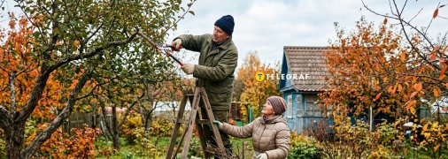Восени в саду можна робити лише санітарну обрізку