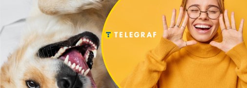 Собака насмішив мережу