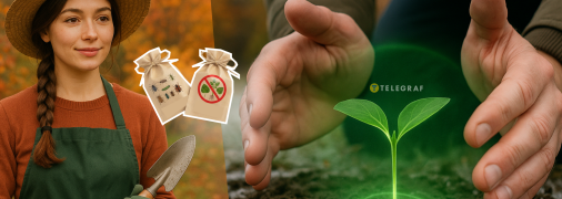 Дезинфекция почвы в огороде и теплице