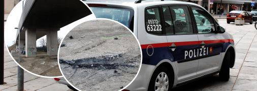 У Відні ймовірніше вбили сина Кузьміна