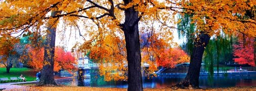 Осінь на озері