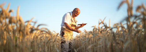 Зволоження ґрунту досягло найвищих показників за останні роки