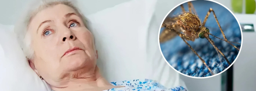 Паразитарна хвороба може вражати не тільки людей