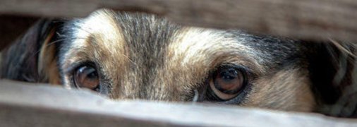 Иллюстративное фото