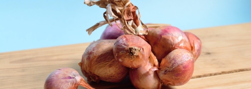 Чтобы лук лучше хранился, его нужно просушить на свежем воздухе