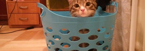 Кошик для брудної білизни