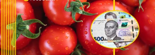 Вартість помідорів в Україні