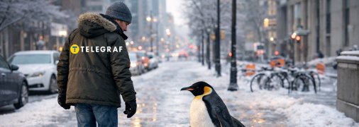 Хода пінгвіна може врятувати від падіння на льоду