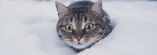 В ближайшие дни установится холодная погода