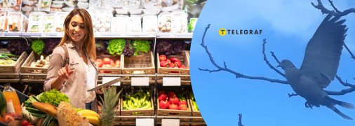 Птах збирав їжу