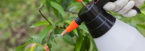 Как защитить сад и город от вредителей