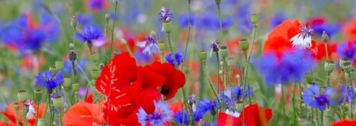 Дощі вщухають, але тепло затримується: якою буде погода на початку тижня