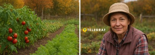 У вересні саме час копати моркву на городі