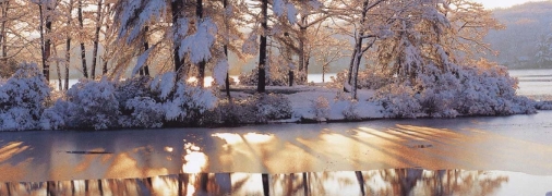 Просто лютий