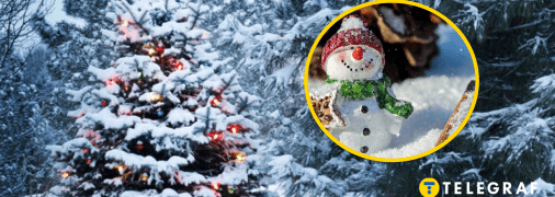 Елка в снегу и снеговичок