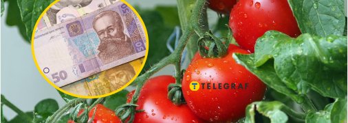 Они оказались самым дорогим продуктом сезона