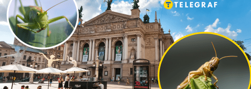 Колаж "Телеграфу"