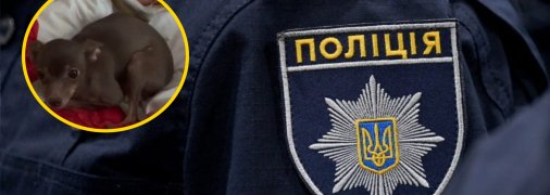 Полиция задержала мужчину за жестокое обращение с животным