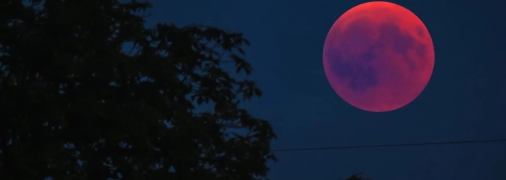 В москве паникуют из-за "недоброго знака" - у шойгу поспешили успокоить россиян