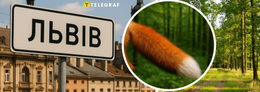 Хижа тварина у Львові мала жахливий вигляд