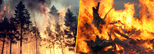 В Украине бушуют лесные пожары: горит сразу в нескольких областях, продолжается эвакуация (видео, карта)