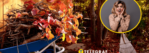 Осінь в саду