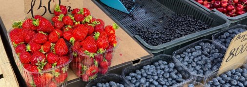 Ягоды могут быть опасны