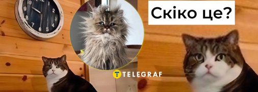 Прикольні картинки, які зарядять позитивом на цілий день