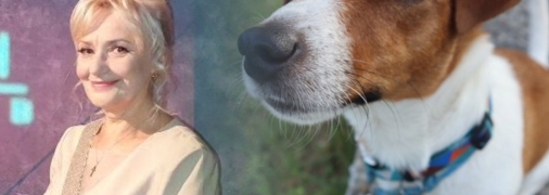 "Хто це вкурвив цей район?" Ирина Фарион стала героиней вирусной песни